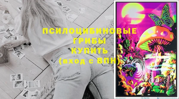 mdpv Мегион