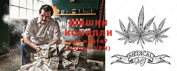 mdpv Мегион