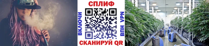 Канабис индика  Углегорск 